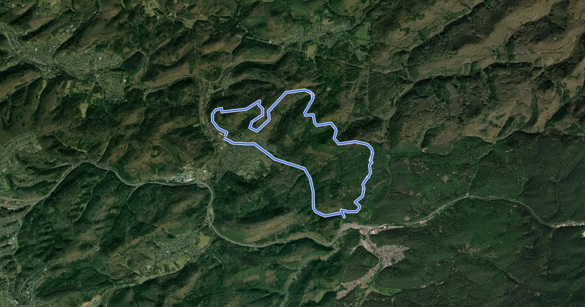 Маршрут Münchweiler Höhenwanderweg на спутниковом снимке