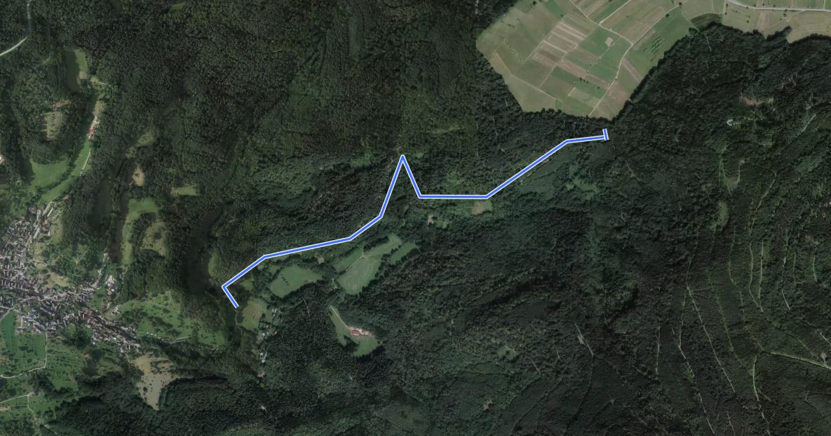 Маршрут Münzberg - Wasenhütte на спутниковом снимке