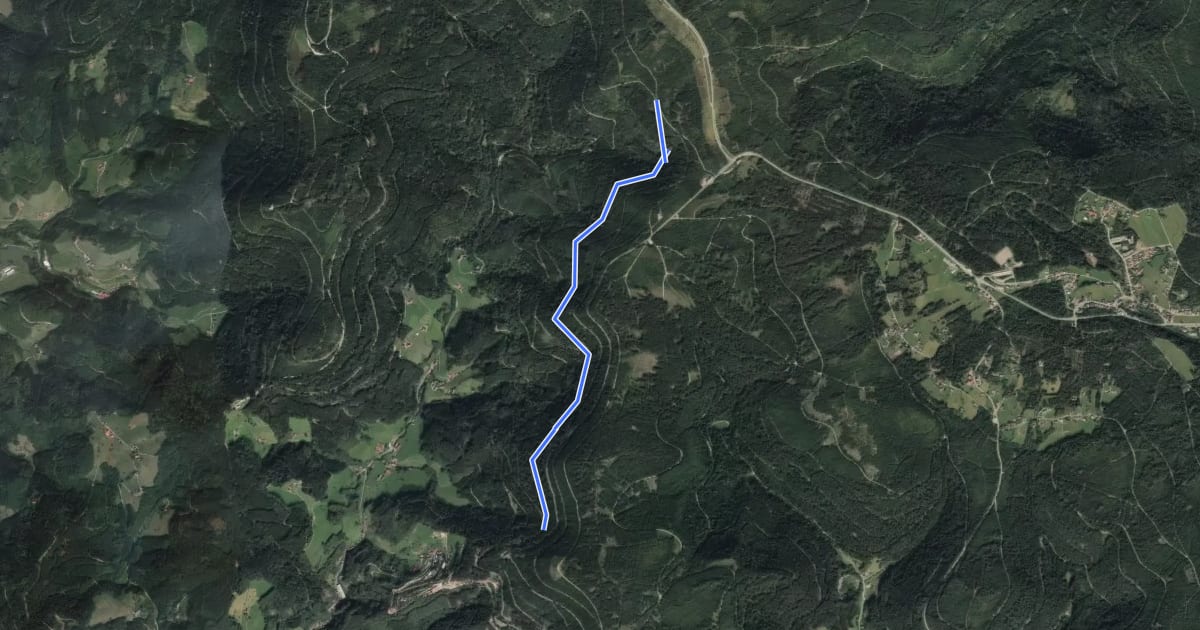 Маршрут Müselgrund - Oberer Leitweg на спутниковом снимке