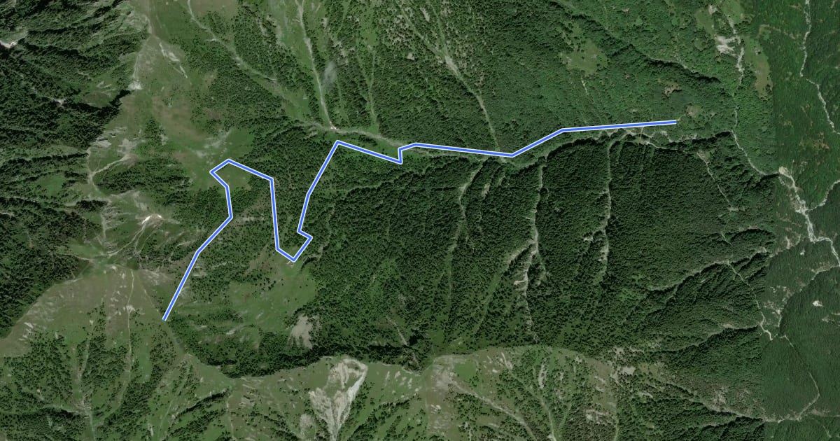 Маршрут M13 - Cortino - Passo della Margina на спутниковом снимке