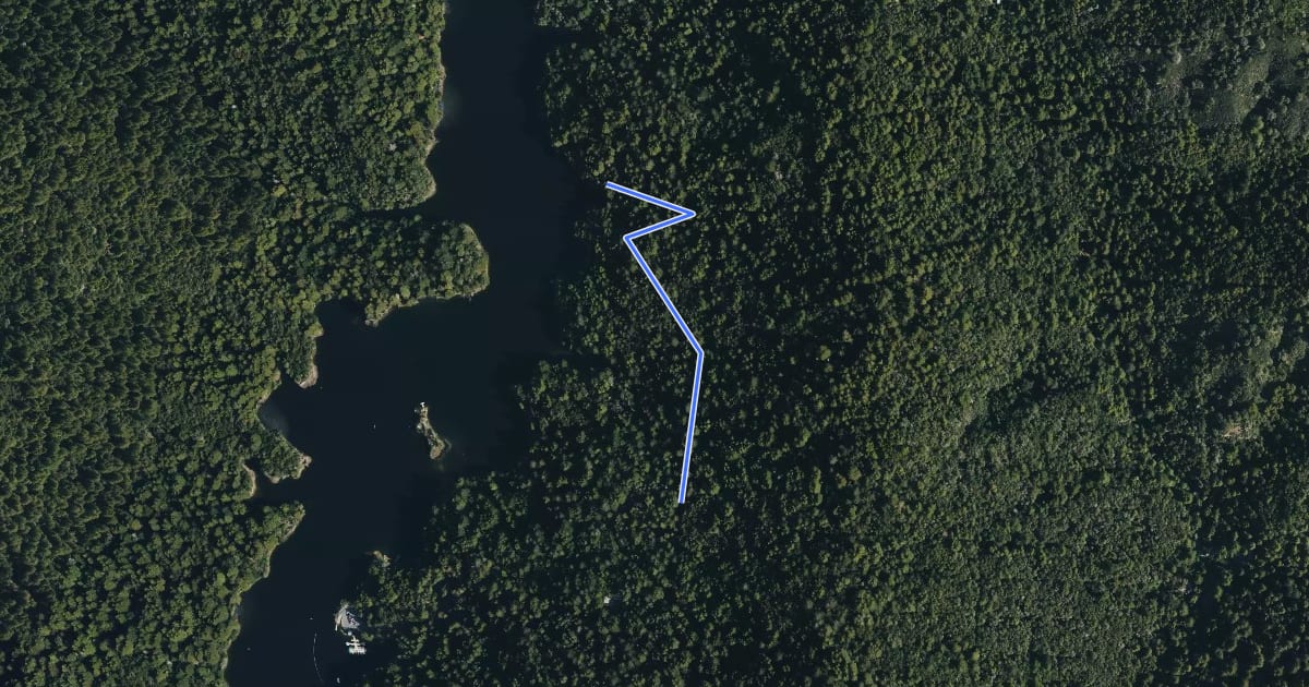 Маршрут MacLaren Trail на спутниковом снимке