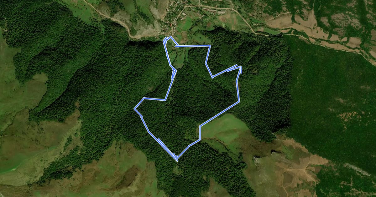 Маршрут Magic Forest Trail на спутниковом снимке