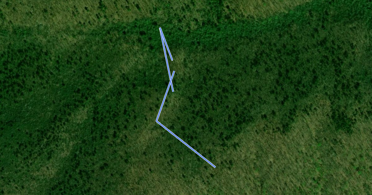 Маршрут Magnolia Springs Trail на спутниковом снимке