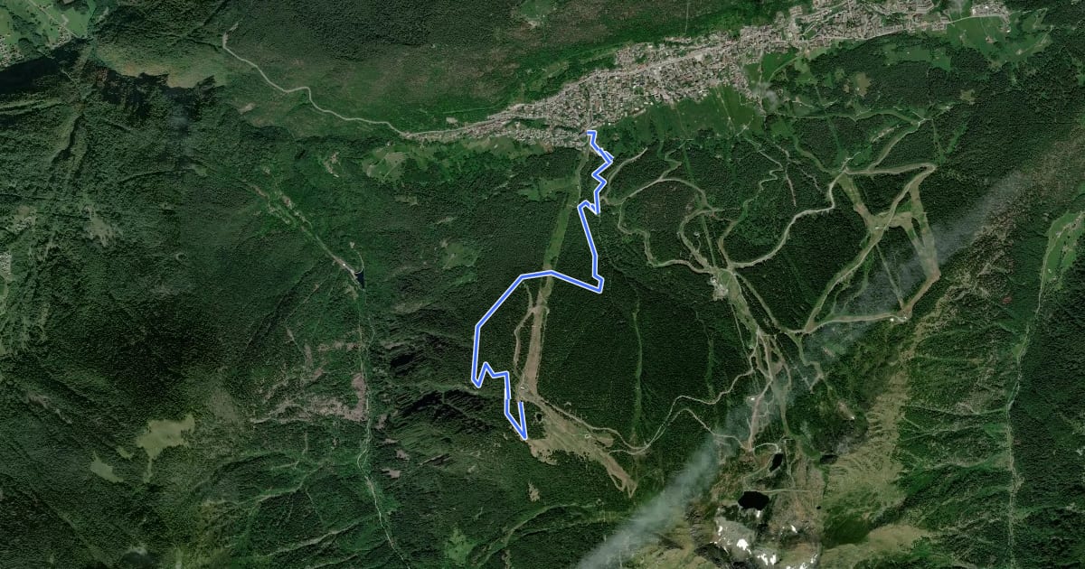 Маршрут Magnolta Trail на спутниковом снимке