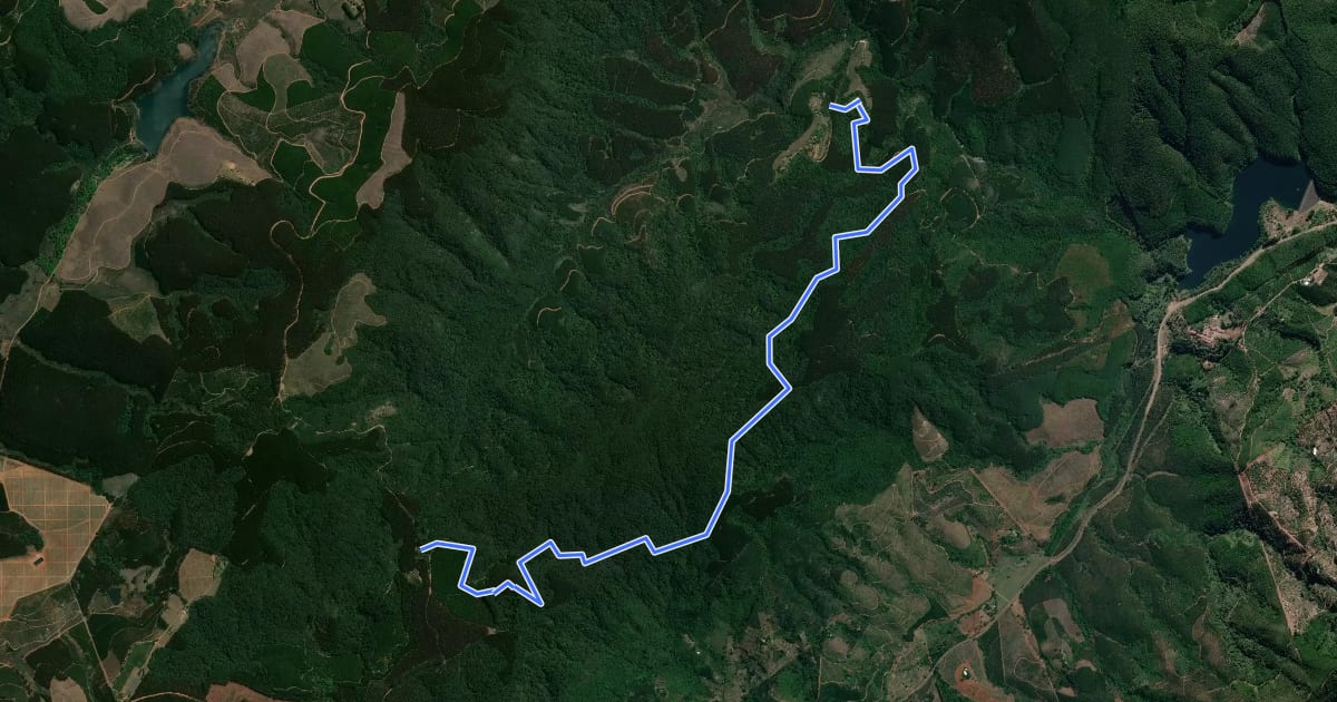 Маршрут Magoebaskloof Hiking Trail route 4 на спутниковом снимке
