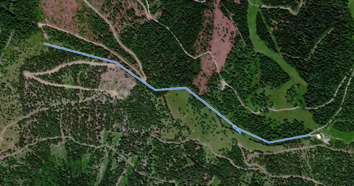 Маршрут Maibrunntrail | nock/bike Trail T9 на спутниковом снимке