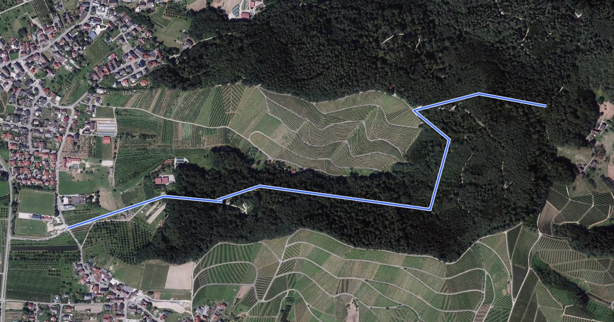 Маршрут Maienbachweg - Sportplatz Tiergarten-Haslach на спутниковом снимке