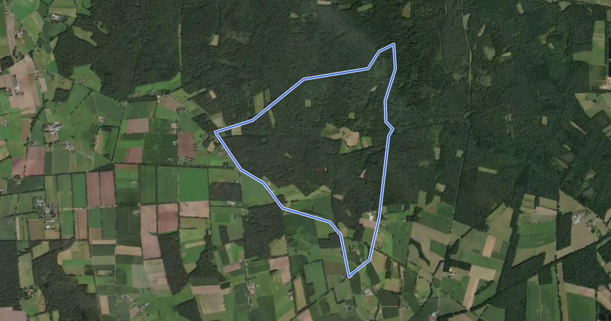 Маршрут Malberg Rundweg A5 на спутниковом снимке