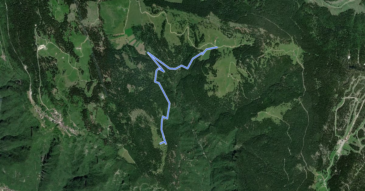 Маршрут Malga Camporosà – Contrà Bisele di Sotto – Ponte Rossato – Malga Crojer на спутниковом снимке