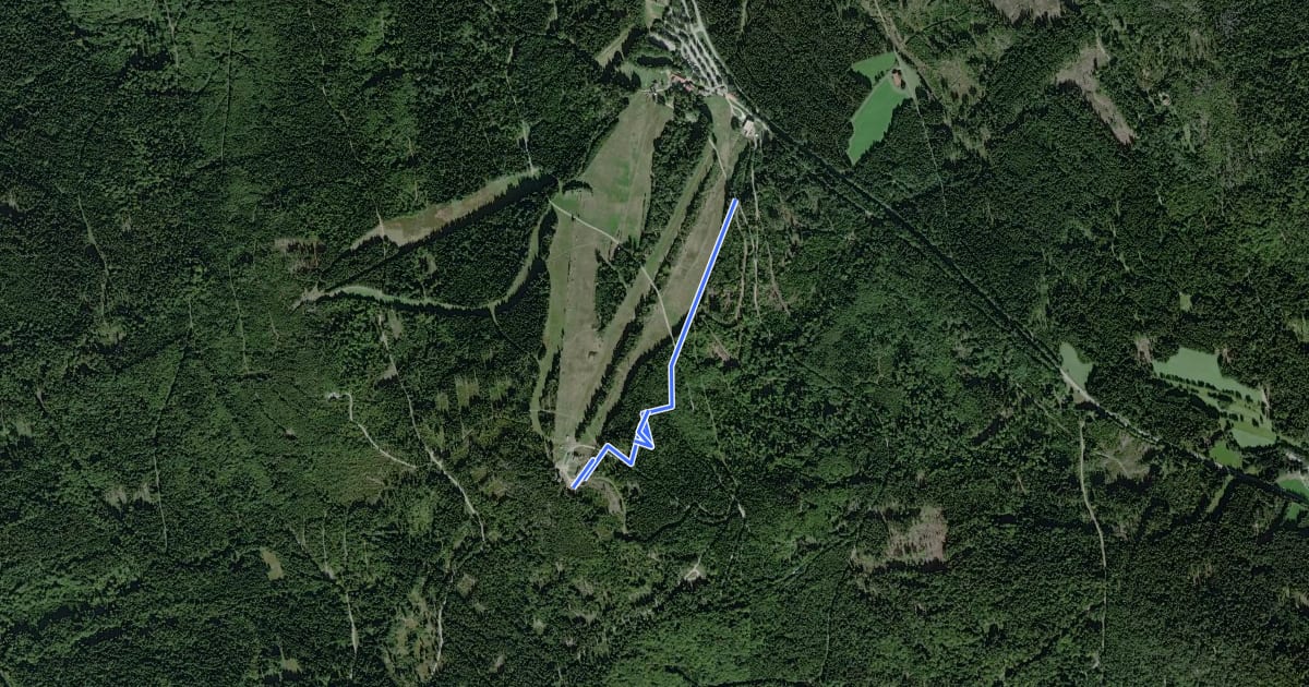 Маршрут Mallet Trail на спутниковом снимке