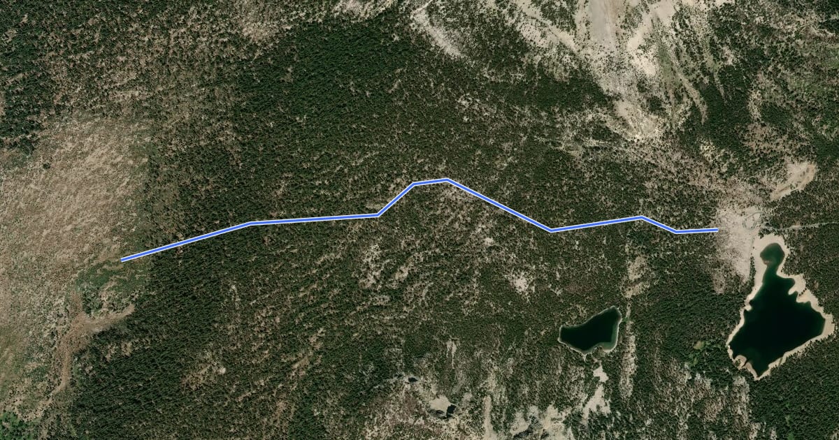Маршрут Mammoth Pass Trail на спутниковом снимке