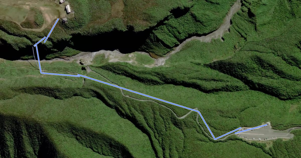 Маршрут Manganui Gorge Track на спутниковом снимке