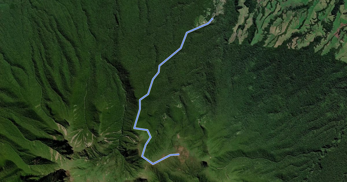 Маршрут Mangorei Track to Pouākai Tarns на спутниковом снимке