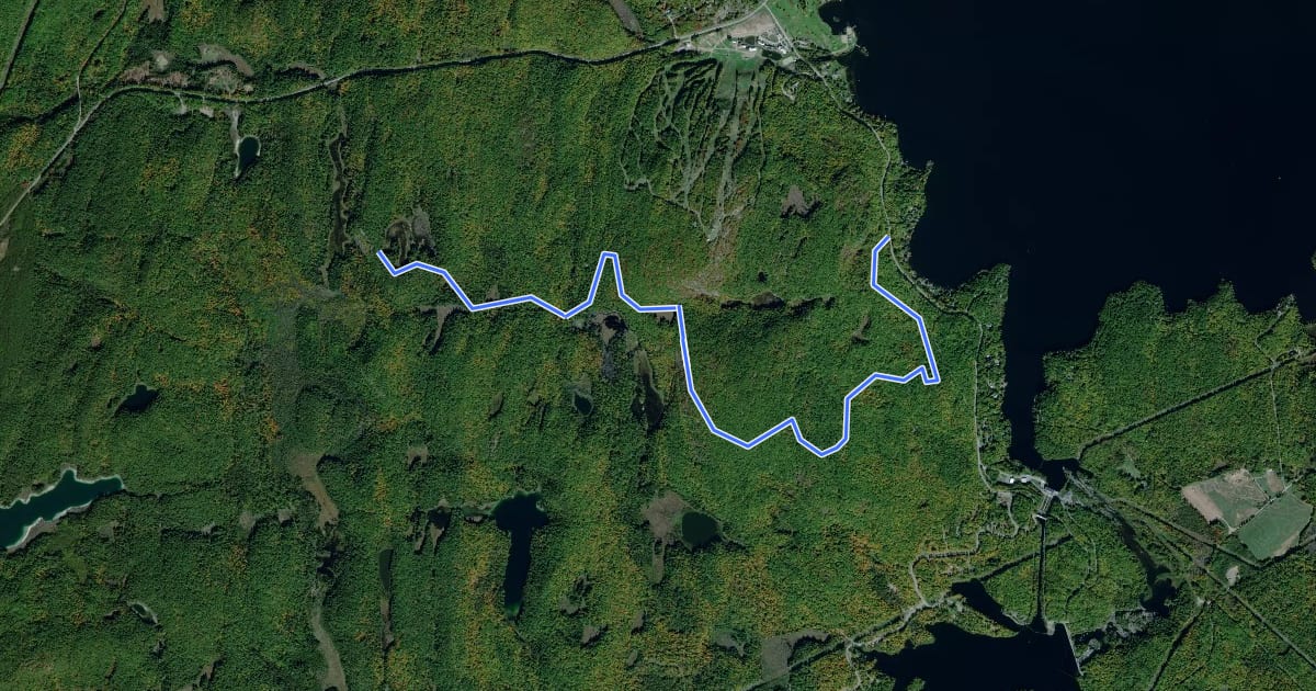 Маршрут Manitou Mountain Trail на спутниковом снимке