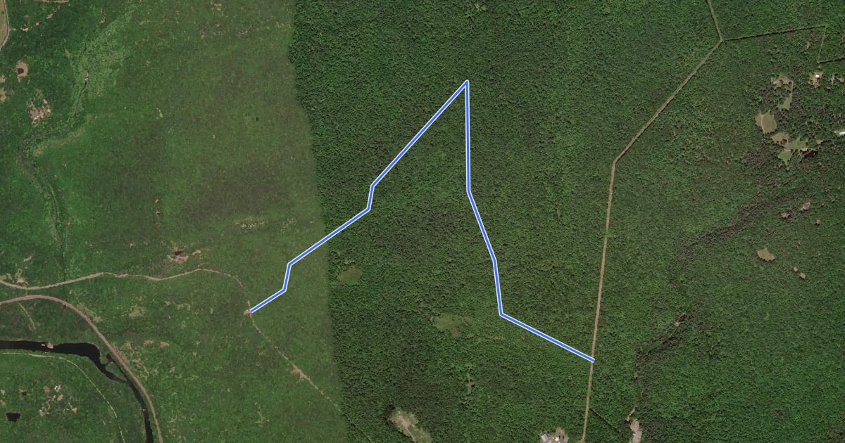 Маршрут Manor House Trail на спутниковом снимке