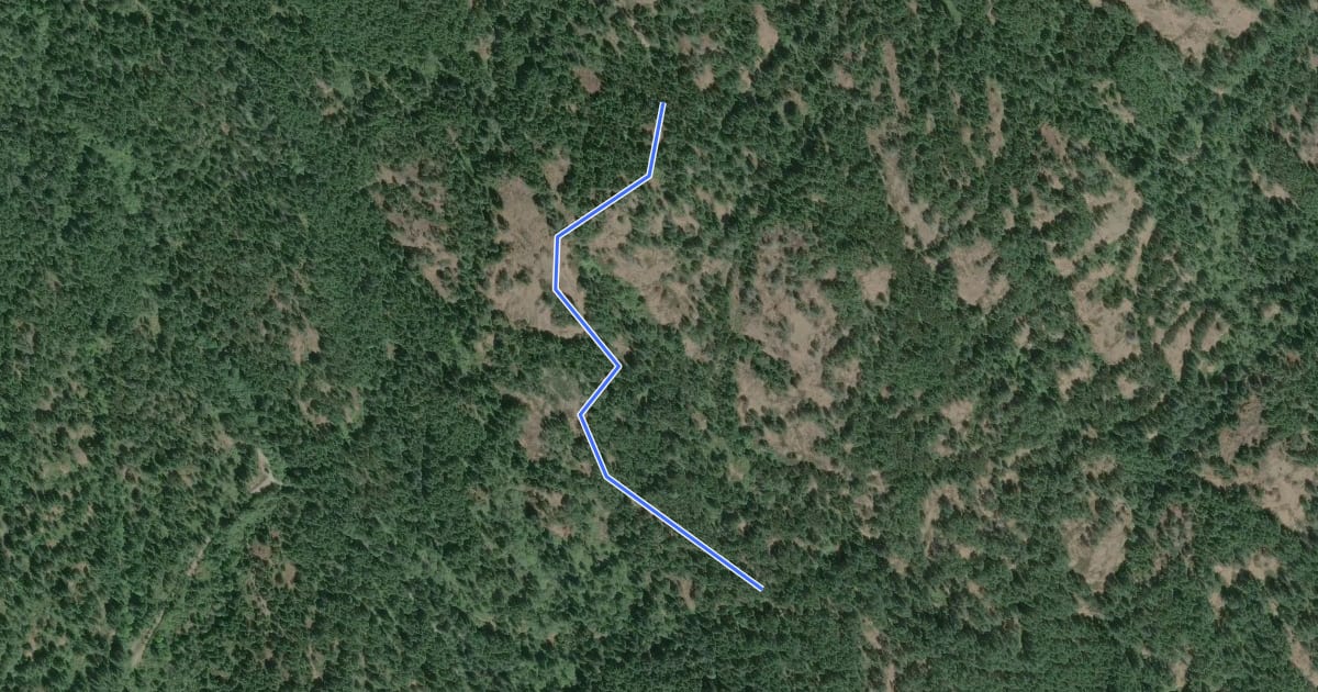Маршрут Manzanita Trail на спутниковом снимке