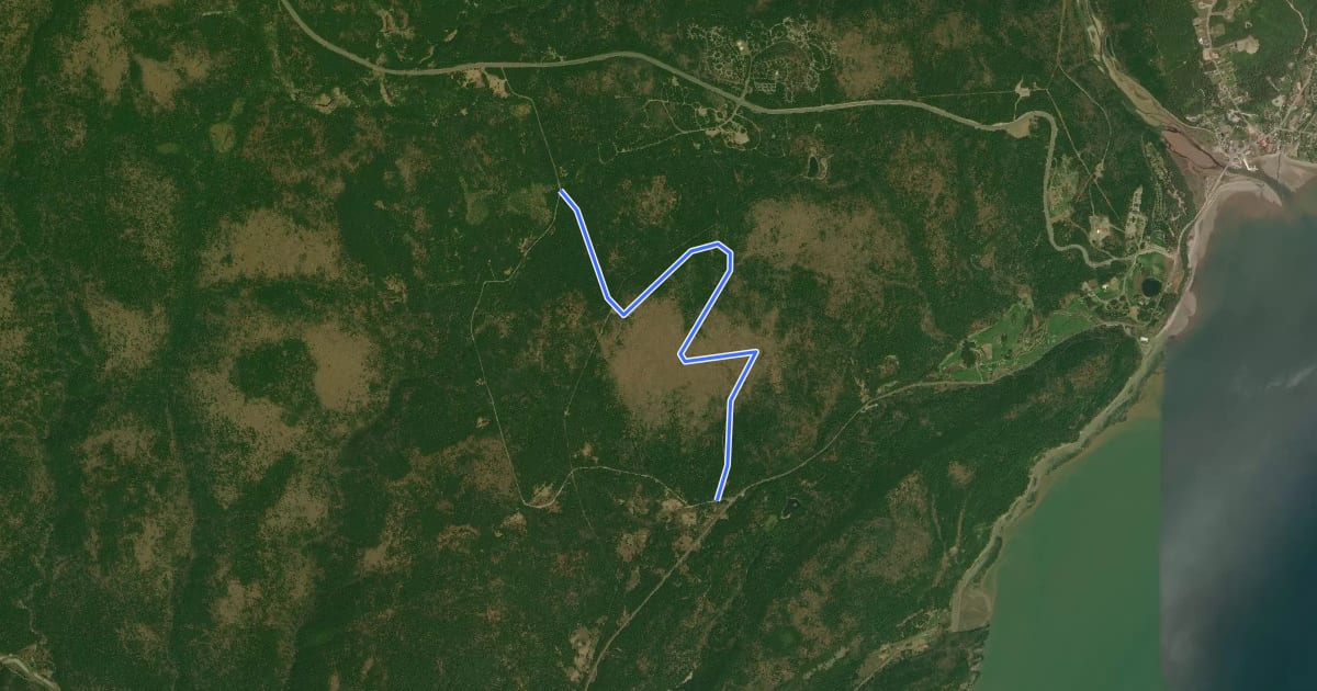 Маршрут Maple Grove Trail на спутниковом снимке