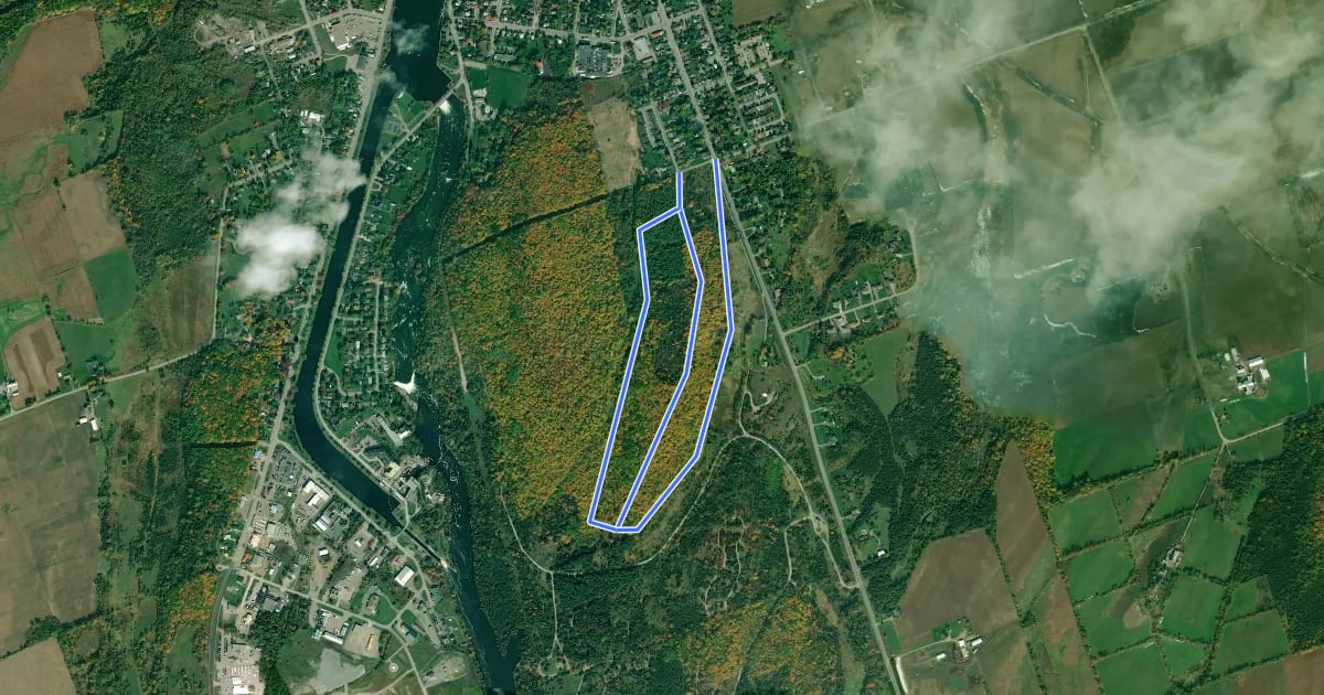 Маршрут Mapletree Loop на спутниковом снимке