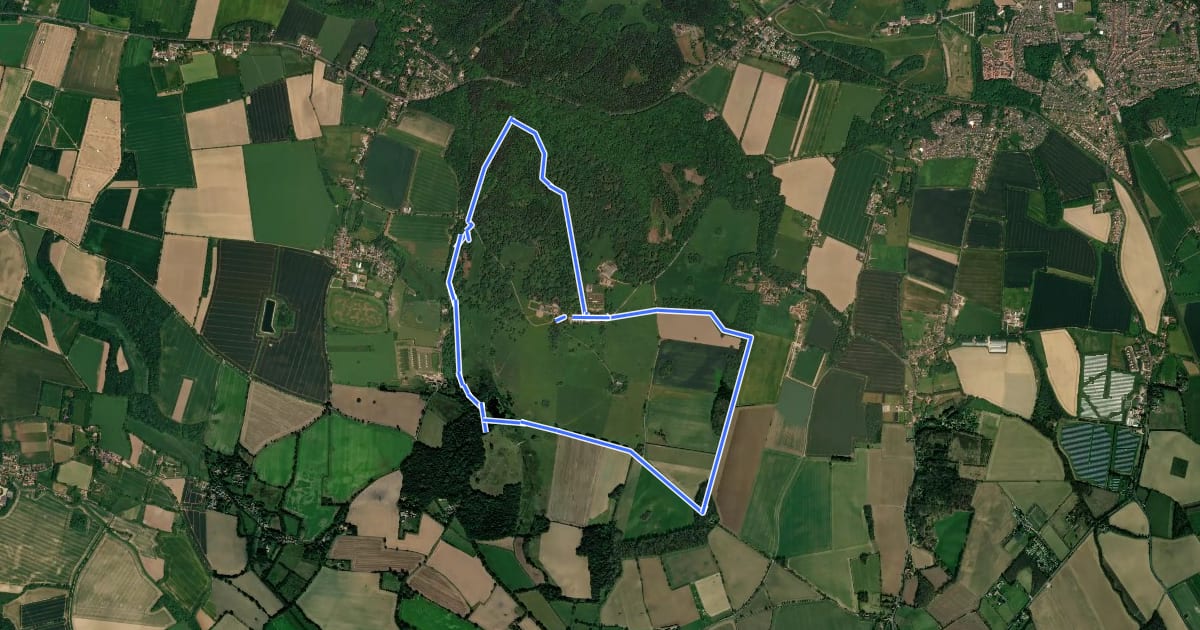 Маршрут Marble Hill Walk, Felbrigg на спутниковом снимке