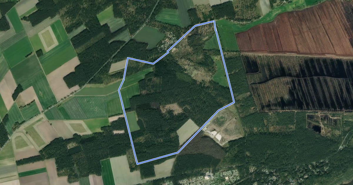 Маршрут Mardorf Rundwanderweg M5 (Bannseepfad) на спутниковом снимке