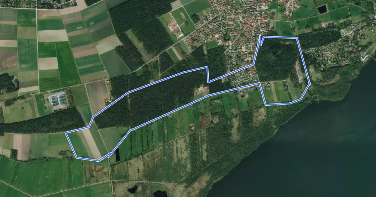 Маршрут Mardorf Rundwanderweg M8 (Poggenpfad) на спутниковом снимке
