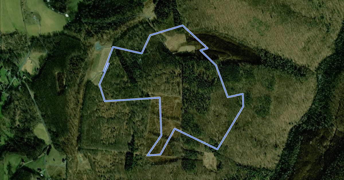 Маршрут Margraff Plantation - South Loop на спутниковом снимке