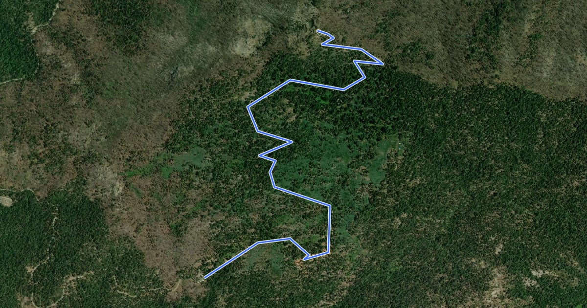 Маршрут Mariposa Grove Trail на спутниковом снимке