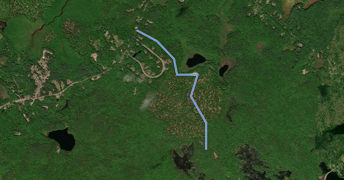 Маршрут Marison Trail на спутниковом снимке