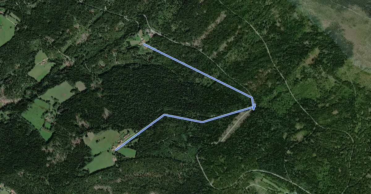 Маршрут Markierte Verbindung Oberhaiderberg - Altlohberghütte на спутниковом снимке