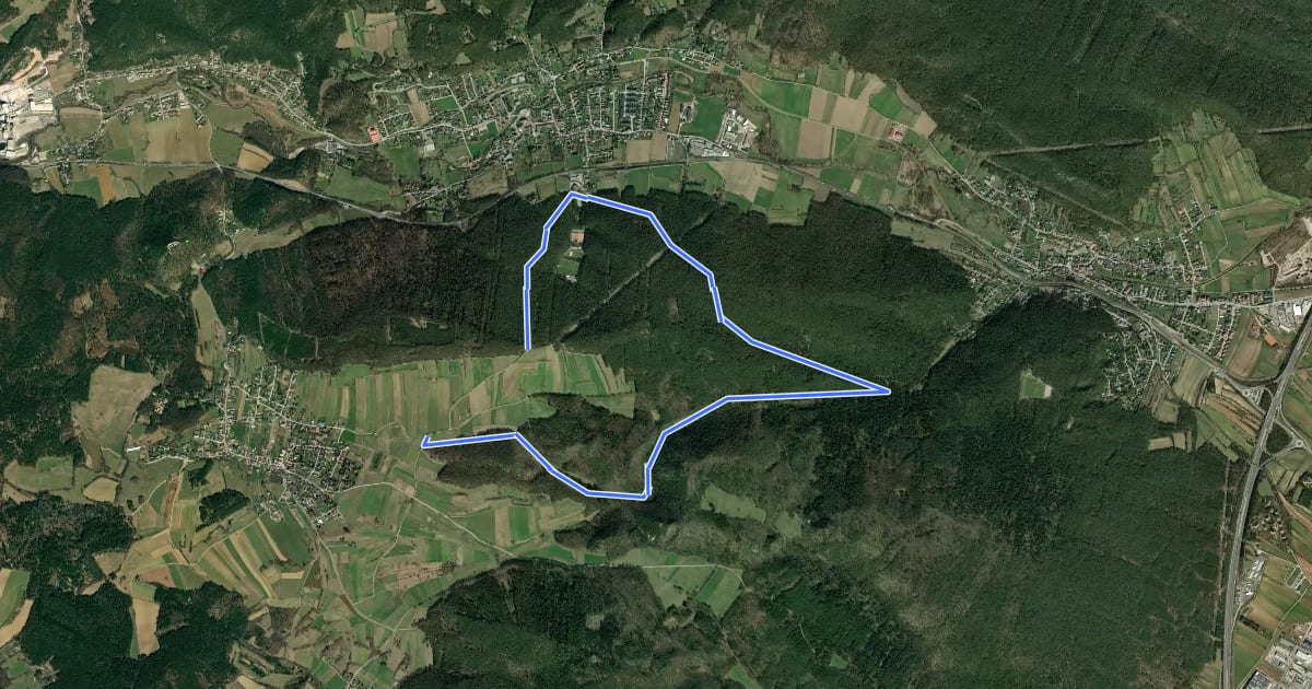 Маршрут Markt Piesting Waldbad - Rotes Kreuz - Dreistetten - Marchgraben Rundwanderweg на спутниковом снимке