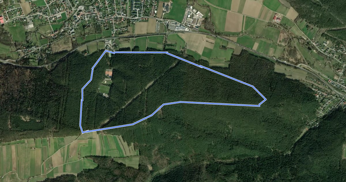 Маршрут Markt Piesting Waldbad - Rotes Kreuz - Prangelnwald Rundwanderweg на спутниковом снимке