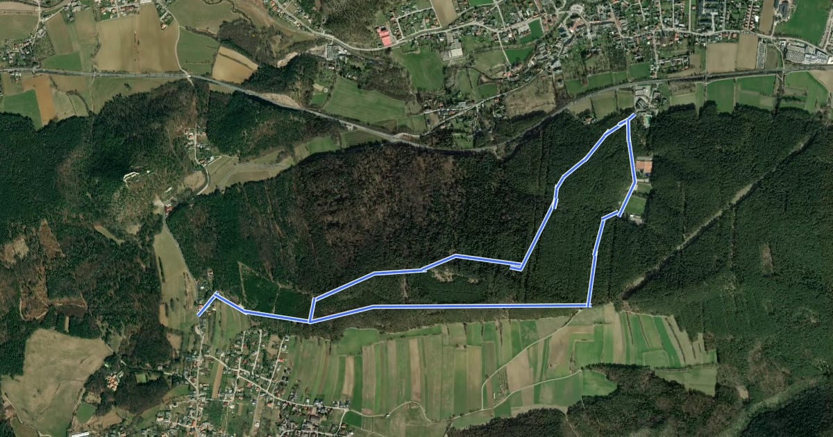 Маршрут Markt Piesting Waldbad - Zitterwirt - Rotes Kreuz Rundwanderweg на спутниковом снимке