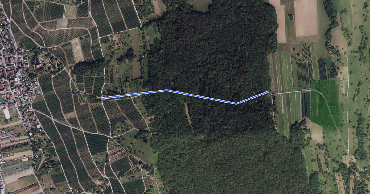 Маршрут Marktfrauenweg - Käferholz на спутниковом снимке