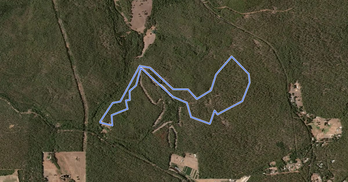 Маршрут Marrinup Circuit на спутниковом снимке