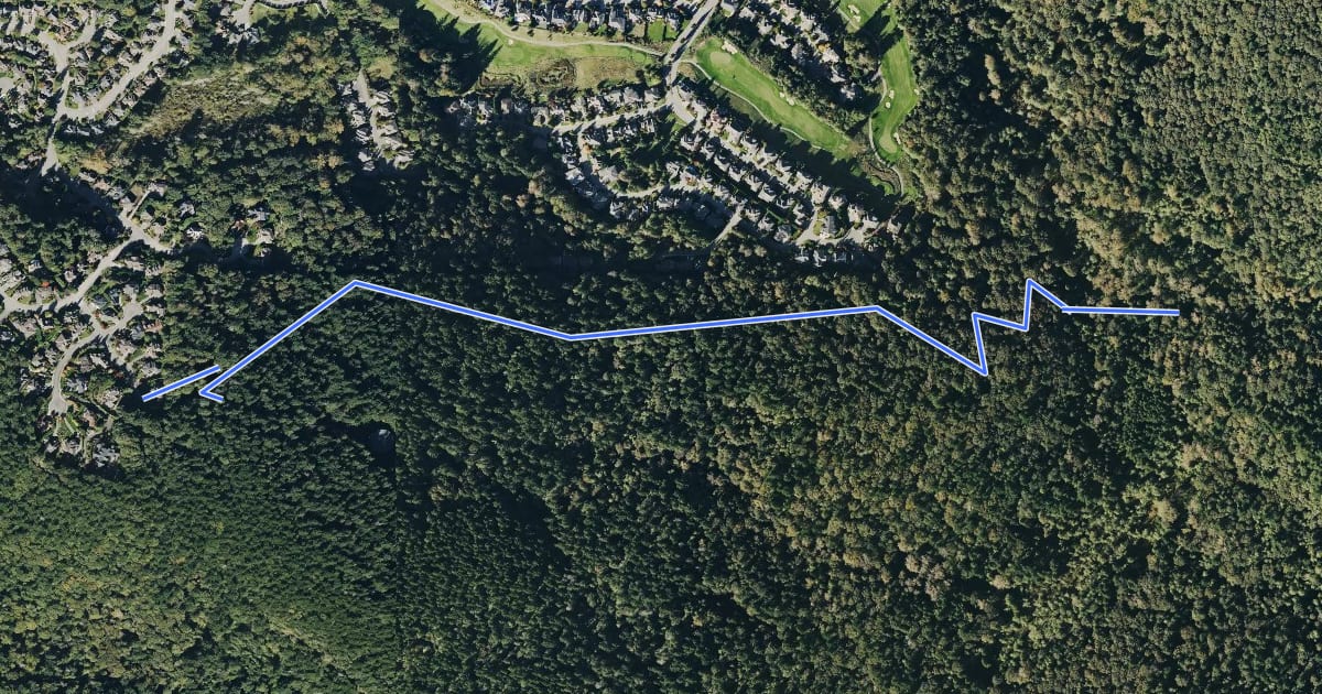 Маршрут Marshall's Hill Trail на спутниковом снимке