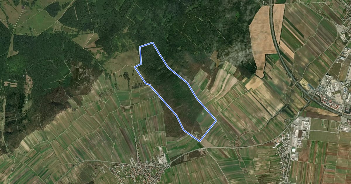 Маршрут Martalwaldweg на спутниковом снимке
