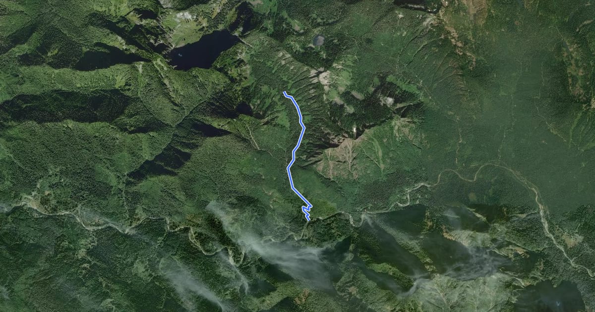 Маршрут Marten Creek Trail на спутниковом снимке