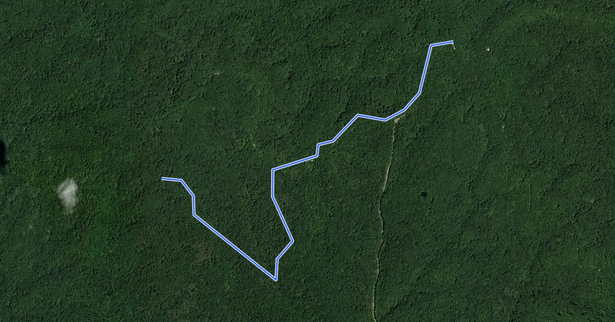 Маршрут Martin Hollow Trail на спутниковом снимке