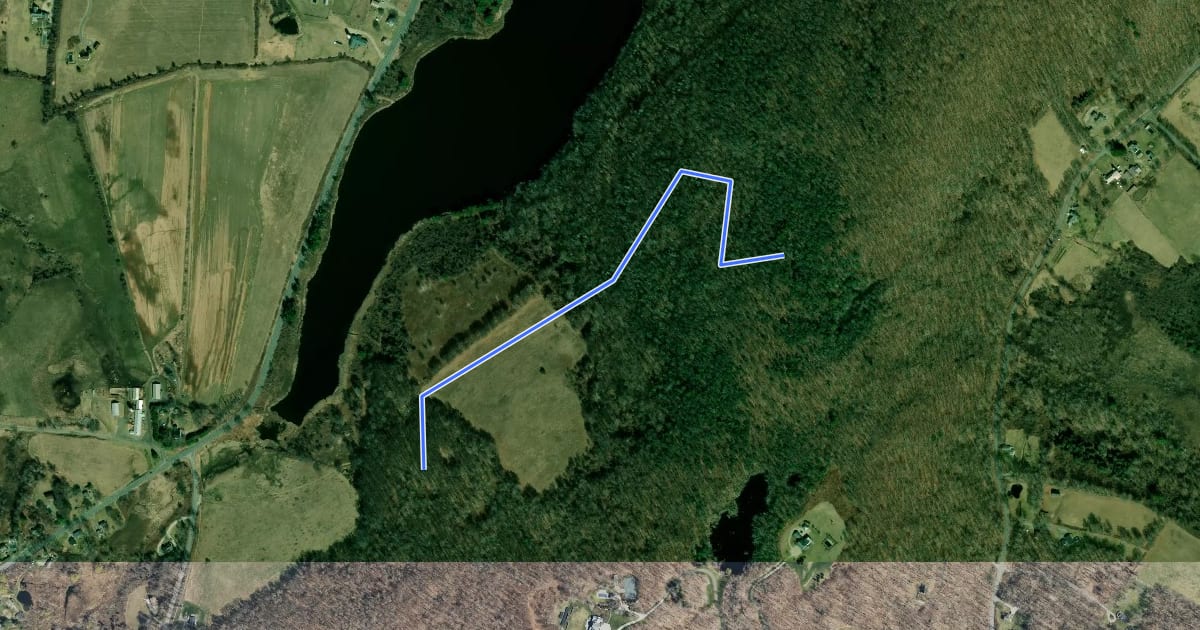 Маршрут Mary Moore Cliff Trail на спутниковом снимке