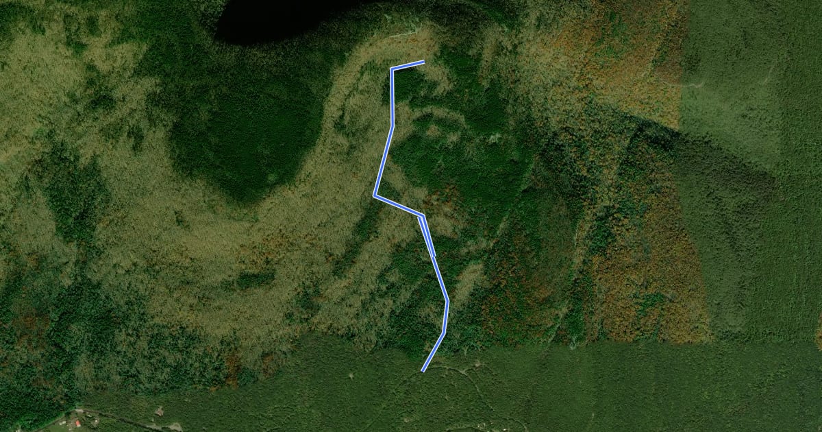 Маршрут Mary's Glen Trail на спутниковом снимке