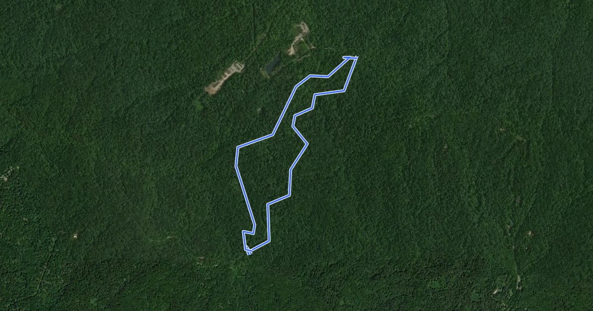 Маршрут Mason Ridge Trail на спутниковом снимке