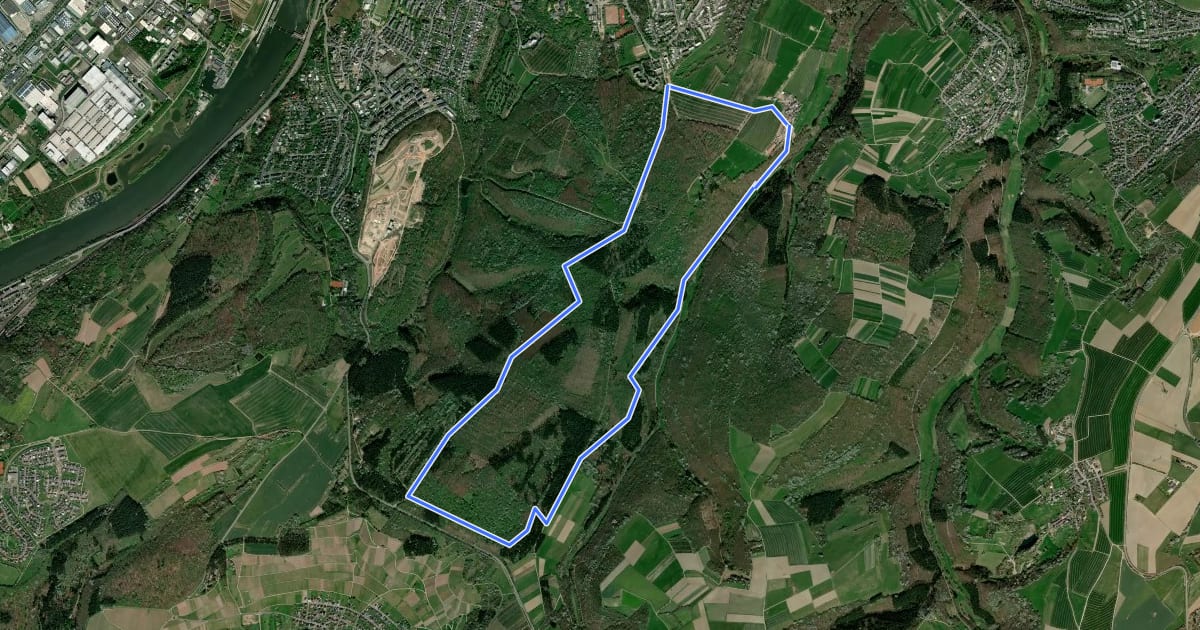 Маршрут Mattheiser Wald Rundweg II на спутниковом снимке