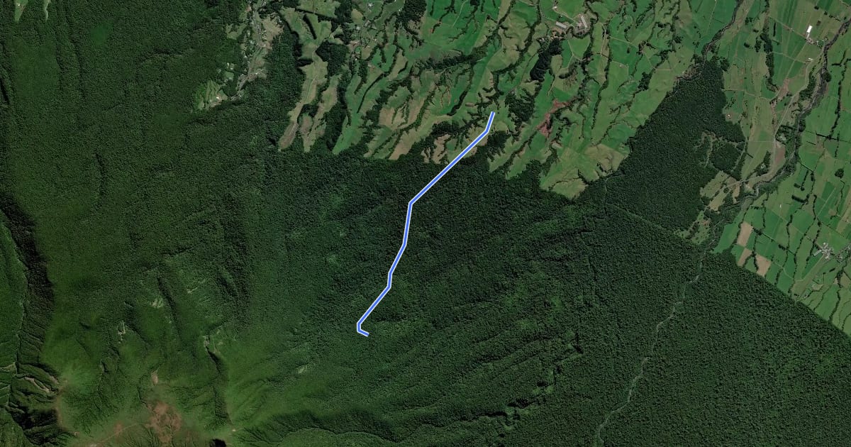 Маршрут Maude Track to Mangakotukutuku Falls на спутниковом снимке