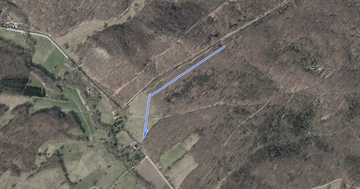 Маршрут Mauer Wald Flow Trail на спутниковом снимке