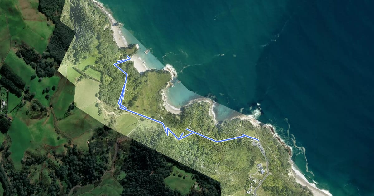 Маршрут Mautohe Cathedral Cove Track на спутниковом снимке