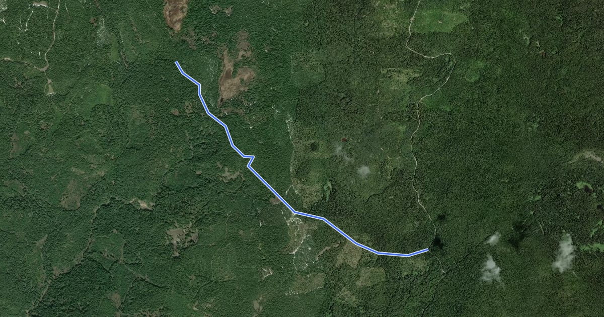 Маршрут McClellan Meadows Trail #157 на спутниковом снимке