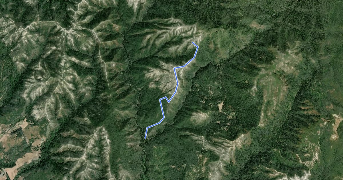 Маршрут McCrary Ridge Trail на спутниковом снимке