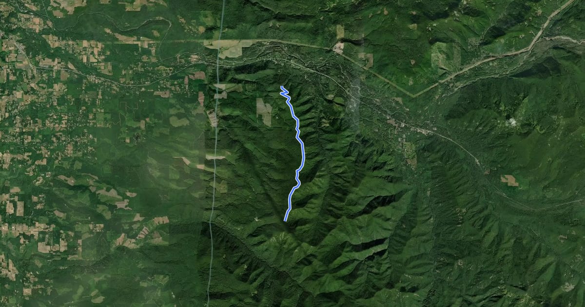 Маршрут McIntyre Ridge Trail #782 на спутниковом снимке