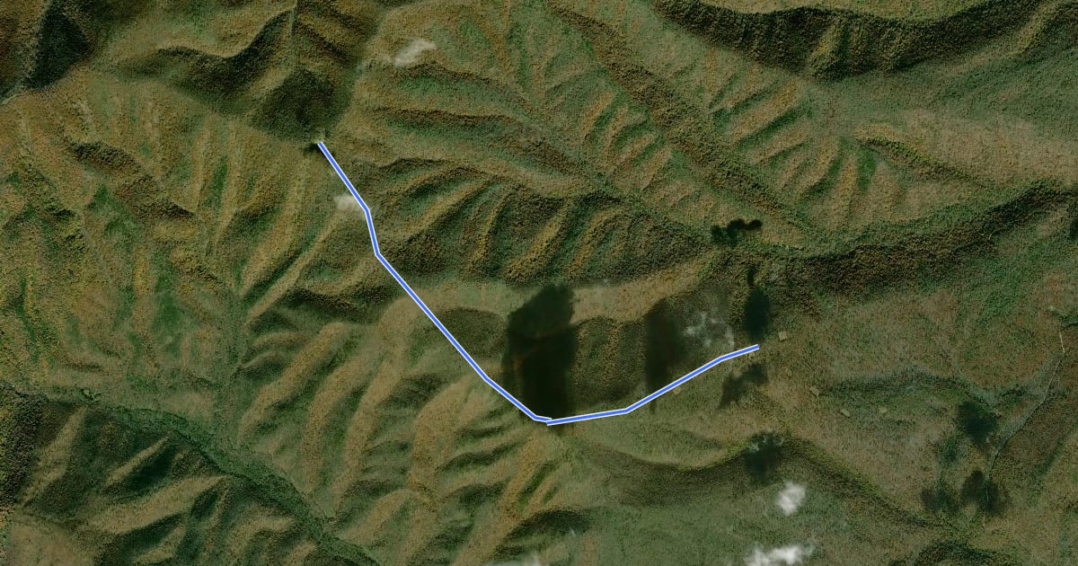 Маршрут Meadow Knob Trail на спутниковом снимке