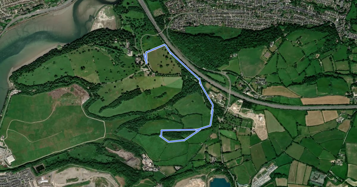 Маршрут Meadow Path, Saltram на спутниковом снимке